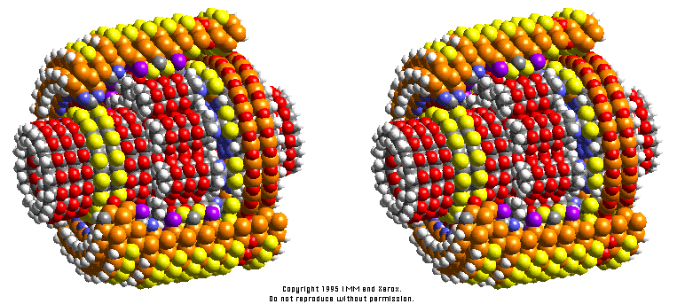  stereo pair crossview Visual images in nanotechnology
